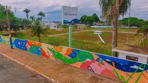 Arte urbana em Mato Grosso do Sul e agência 80 20